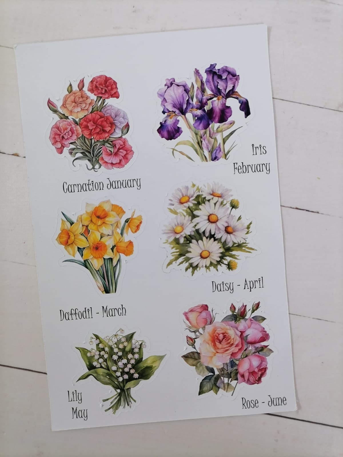 Birth Month Flowers and stones