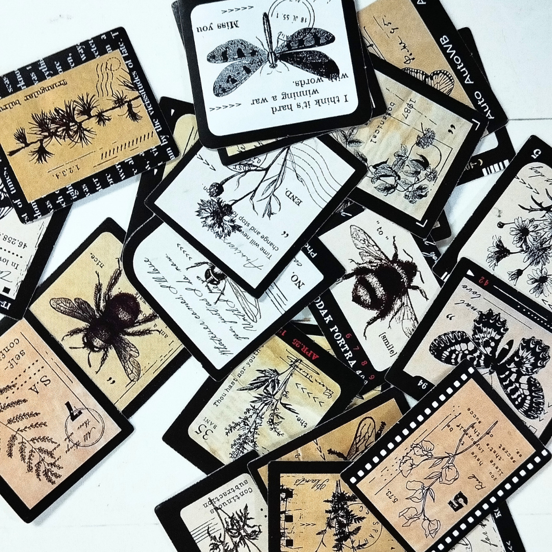 Vintage Slide & Insect Sticker Series