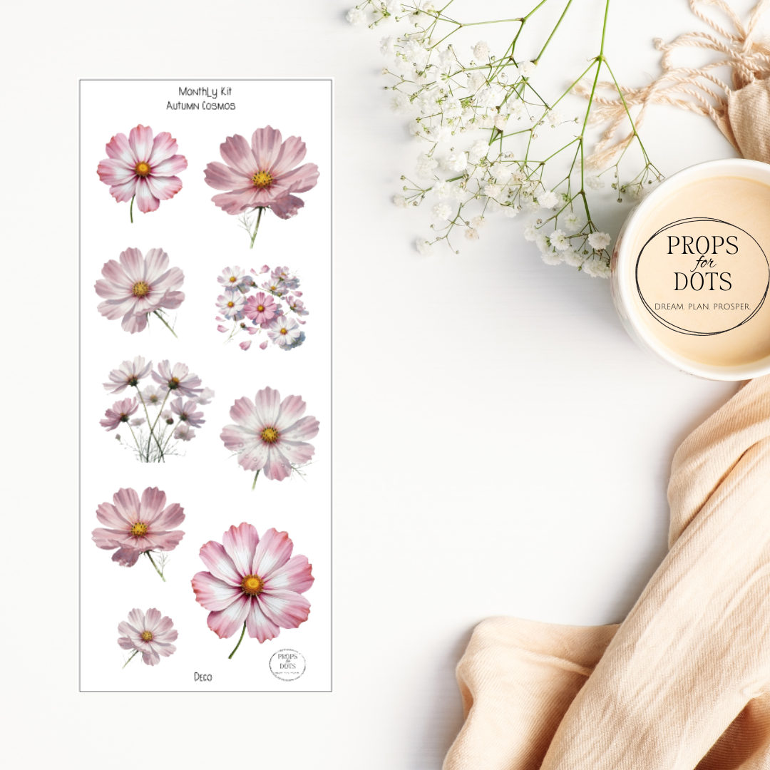 Monthly Minis No. 01 – Autumn Cosmos