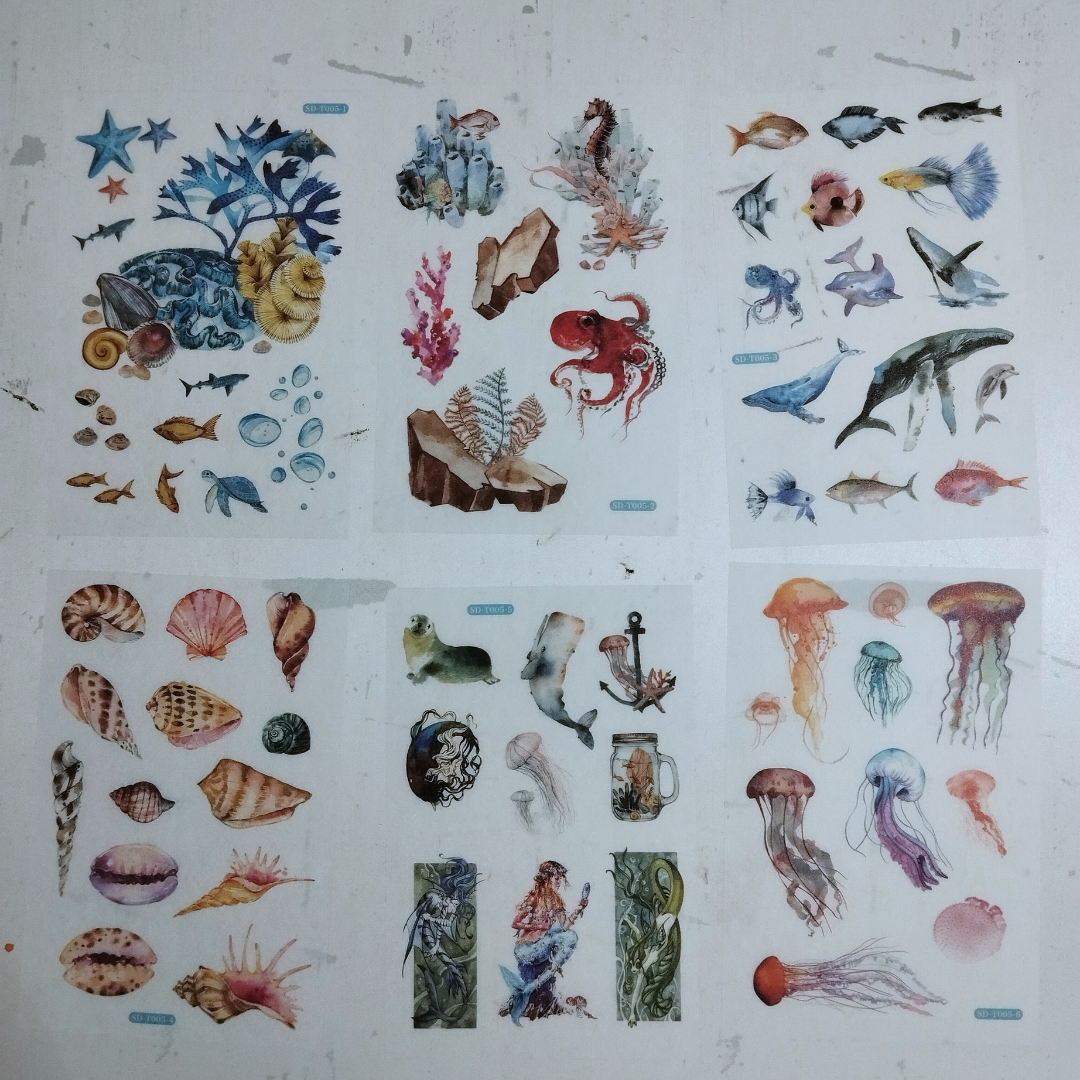 6pc Washi Sticker set