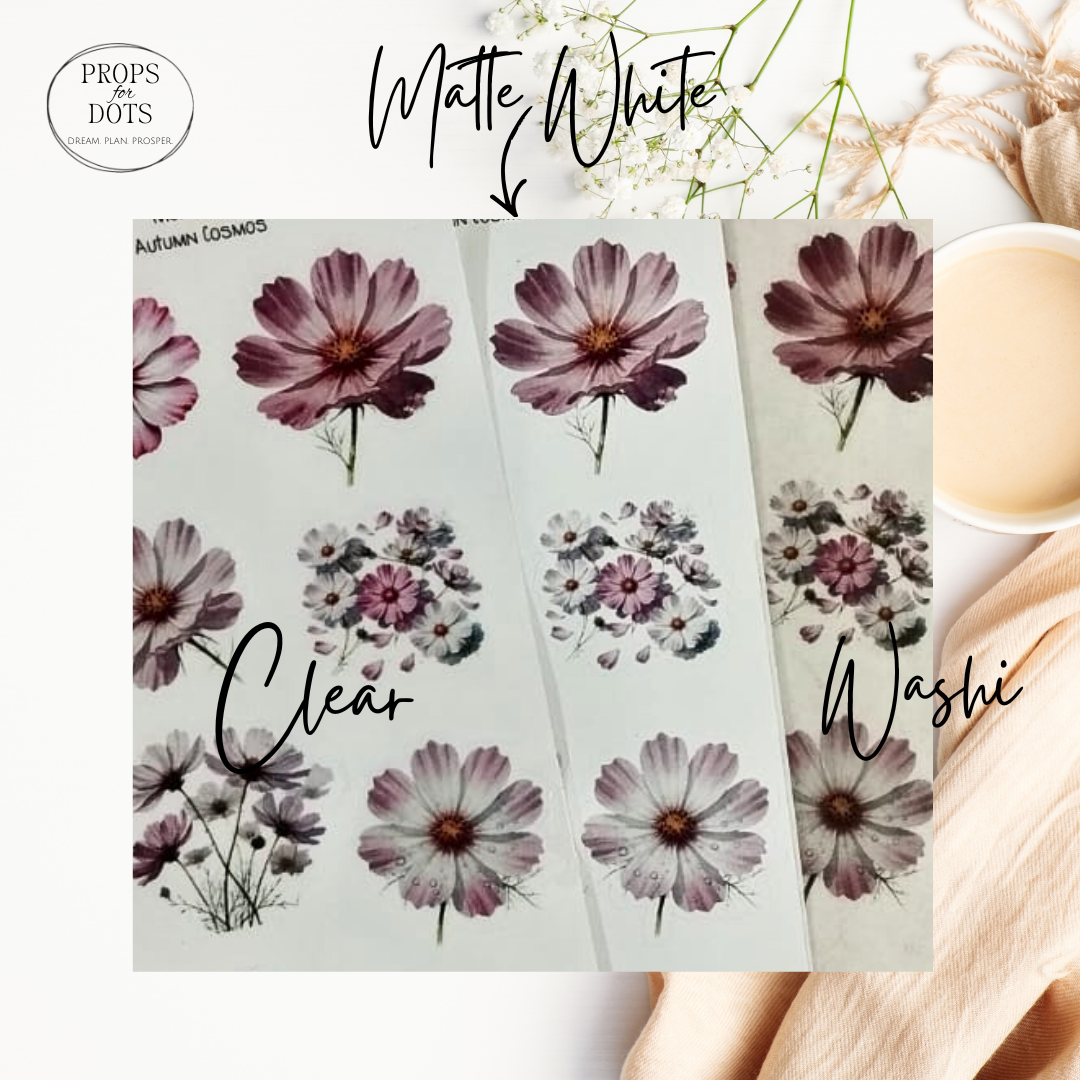Monthly Minis No. 01 – Autumn Cosmos