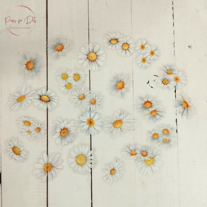 PET Stickers: Watercolor Flowers