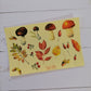 Autumn Forest stickers