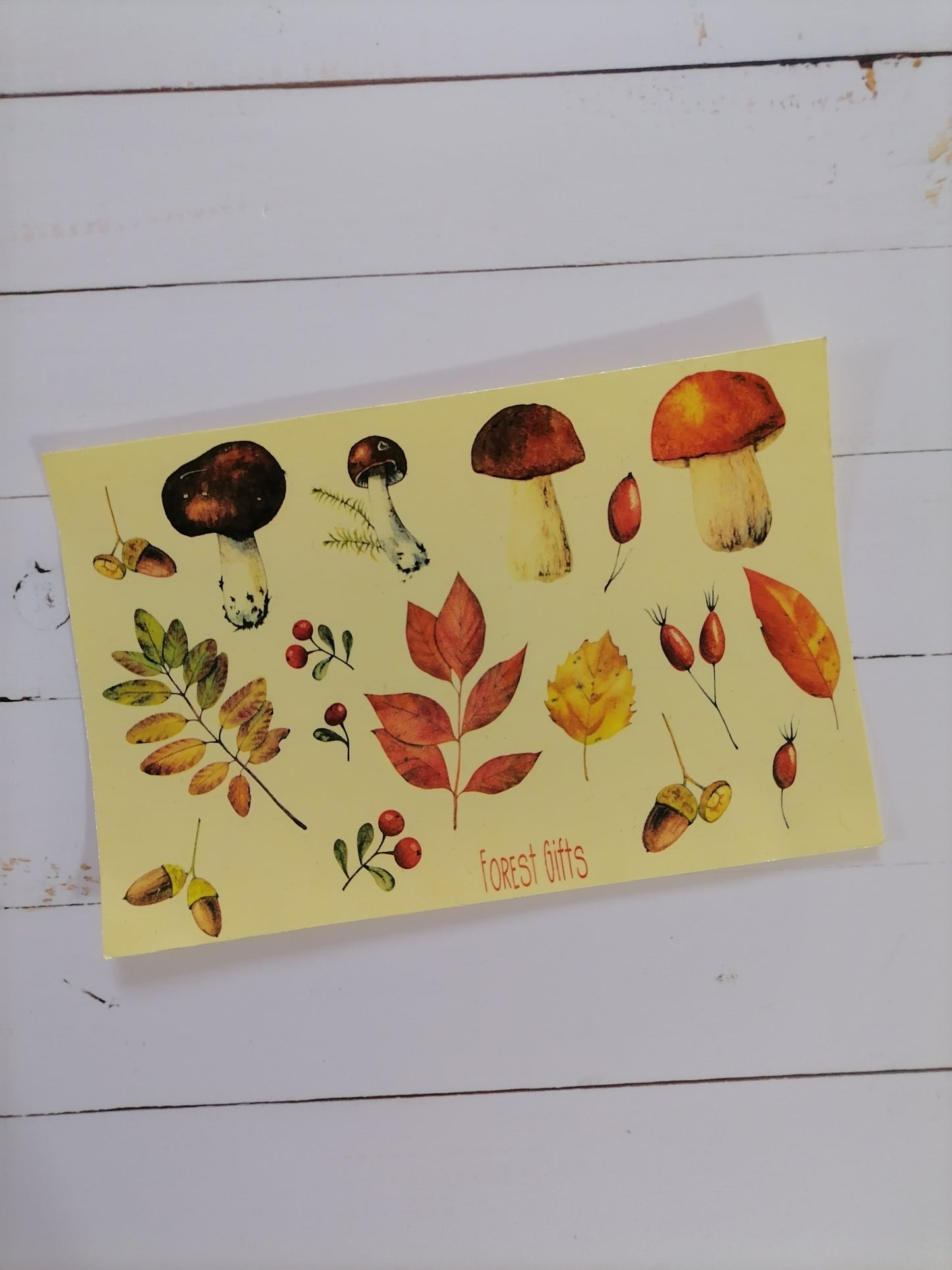 Autumn Forest stickers