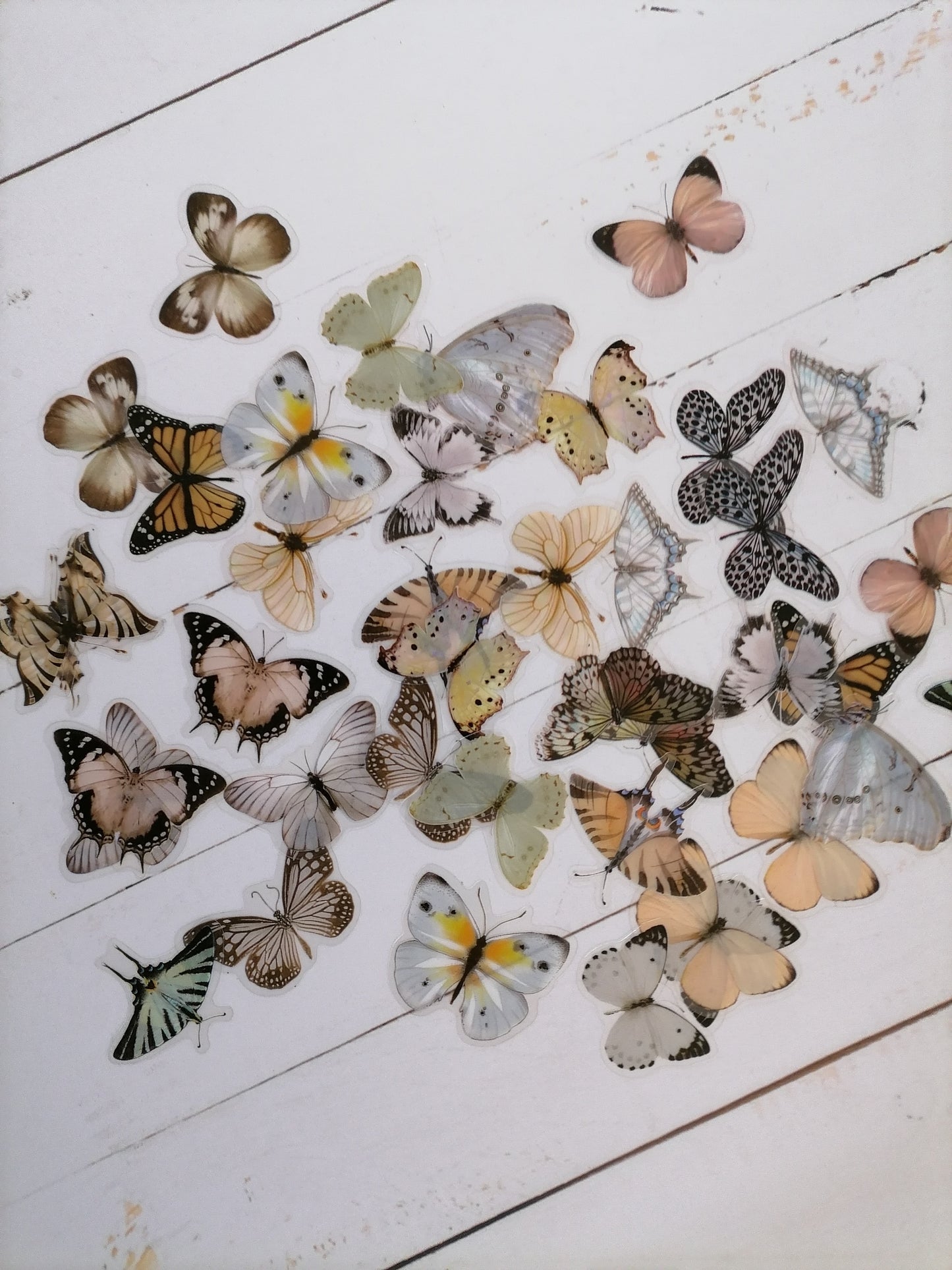 Butterfly Stickers