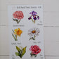 Birth Month Flowers and stones
