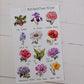 Birth Month Flowers and stones