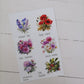 Birth Month Flowers and stones
