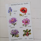 Birth Month Flowers and stones