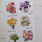 Birth Month Flowers and stones