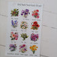 Birth Month Flowers and stones