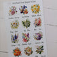 Birth Month Flowers and stones