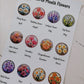 Birth Month Flowers and stones